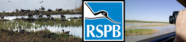 RSPB Minsmere Events
