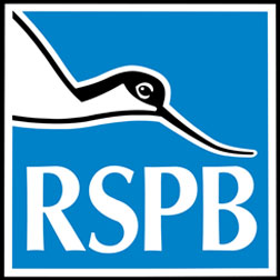 RSPB Minsmere Events