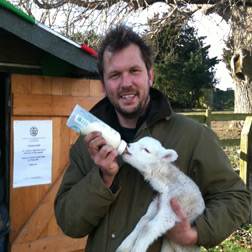 Jimmy's Farm Free Child 